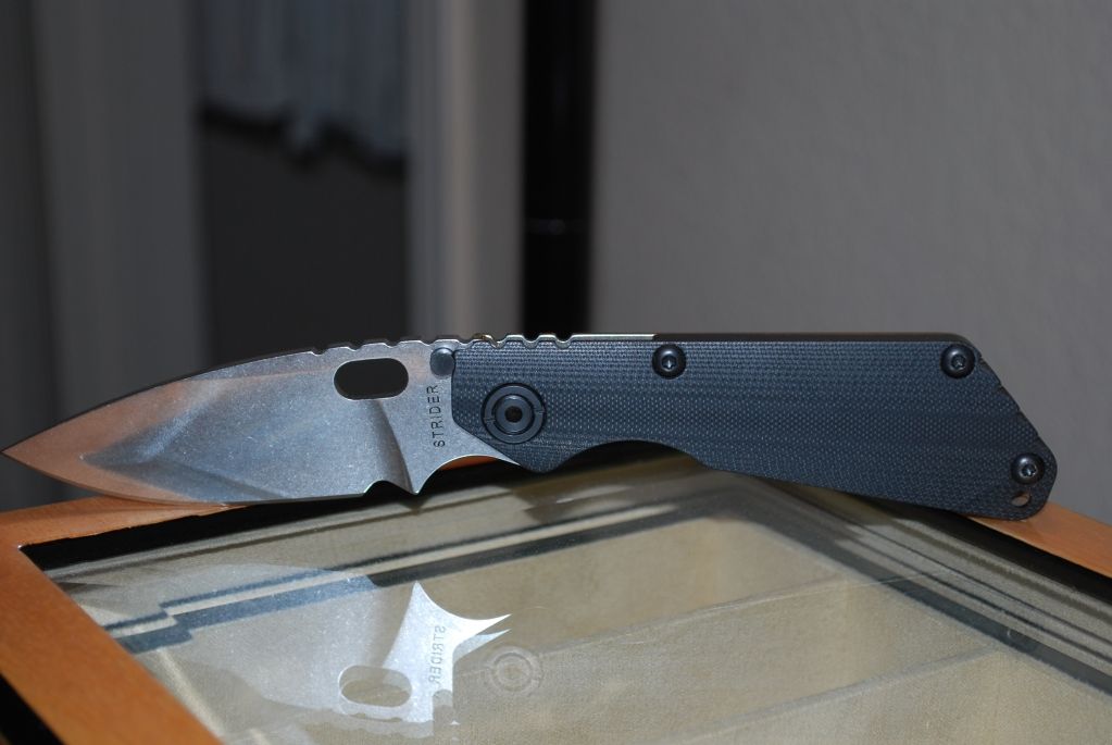 SNG.jpg