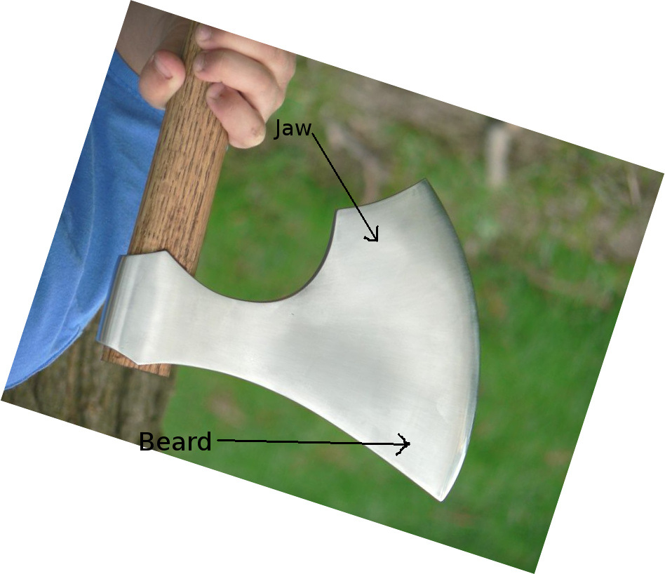 beard-jaw2.jpg