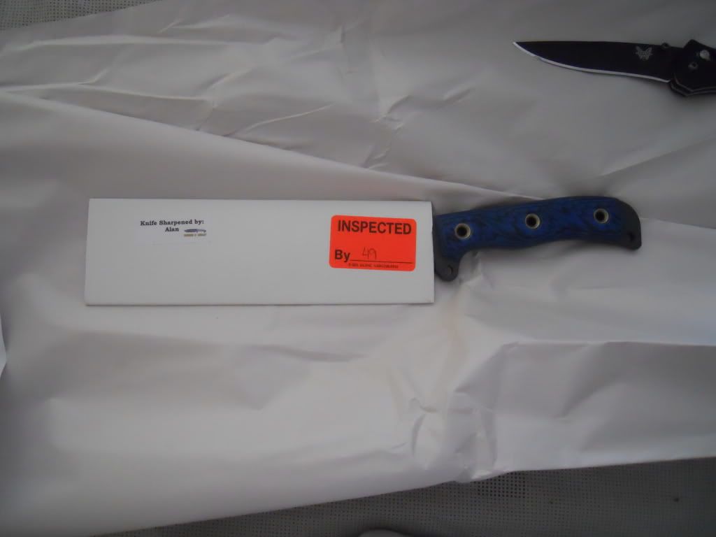 DSCN1719.jpg