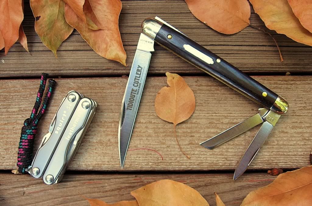 EDC1111.jpg