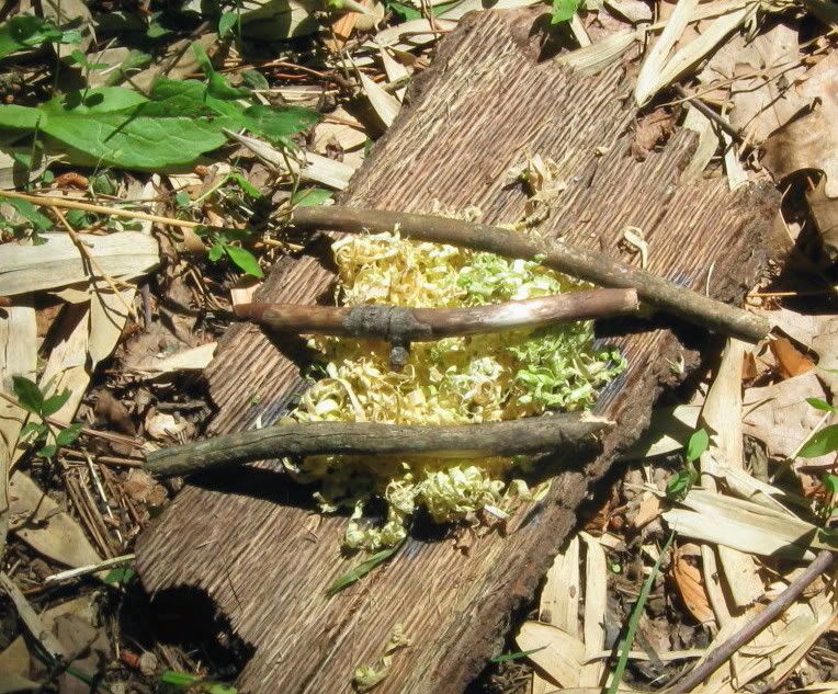 BambooDrying.jpg