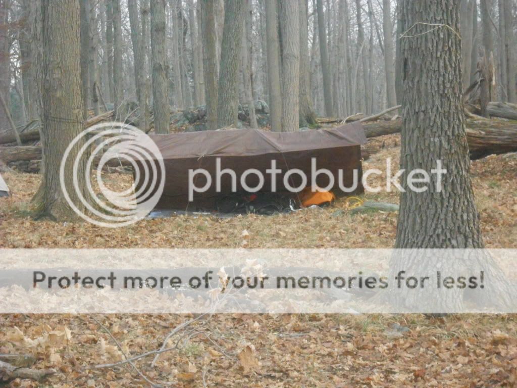 scarpbook061.jpg