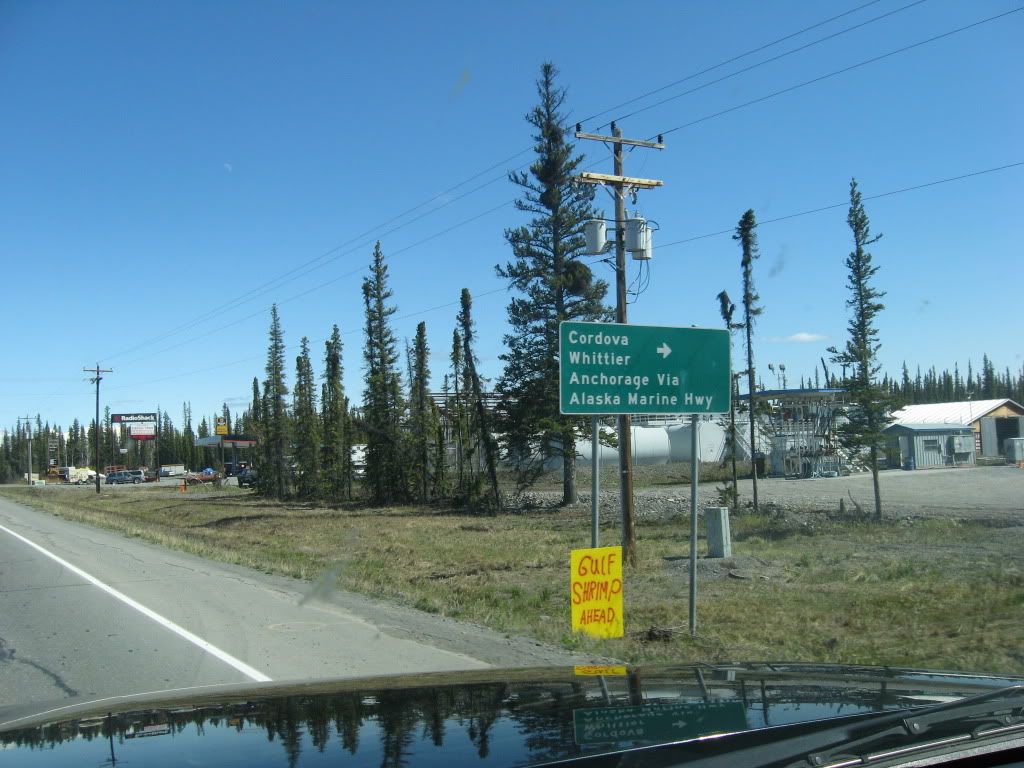 373.jpg