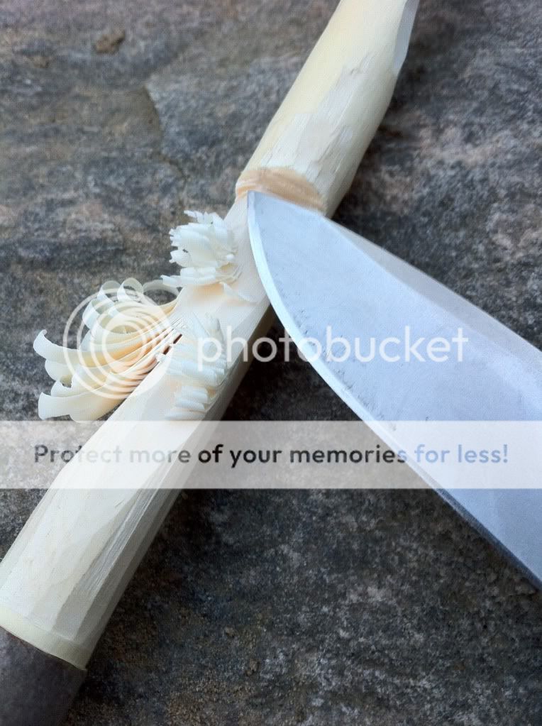 feathersticks.jpg