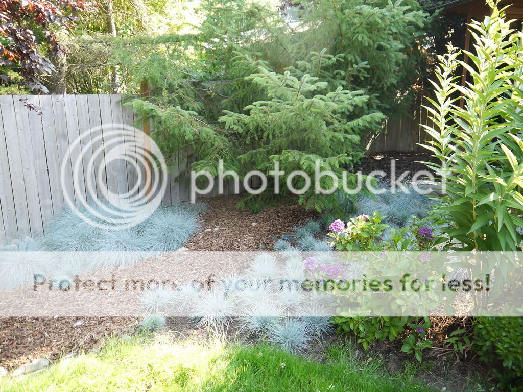 P1060489_zps6czyumzq.jpg