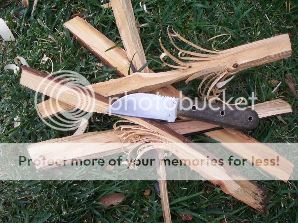 100_3991.jpg