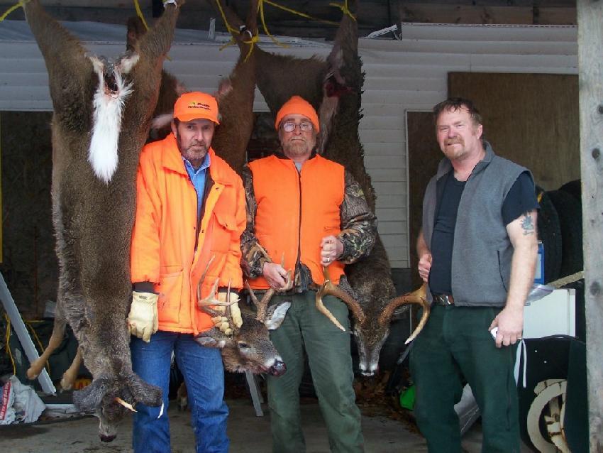 deer2008.jpg