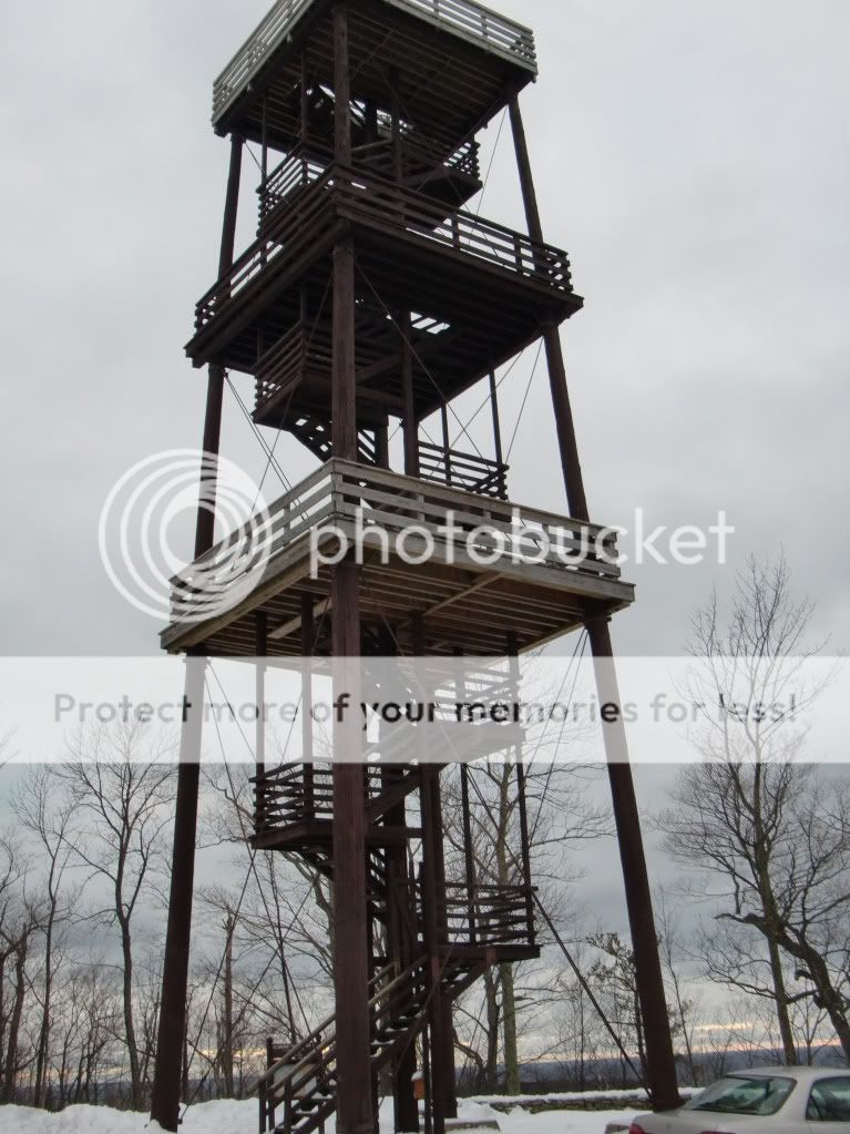 CIMG0240-1.jpg