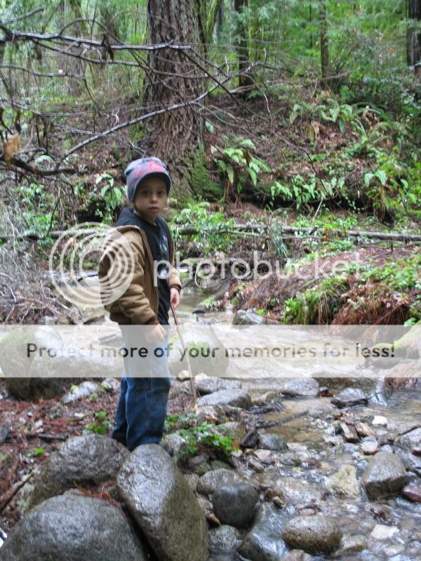 IMG_6890.jpg
