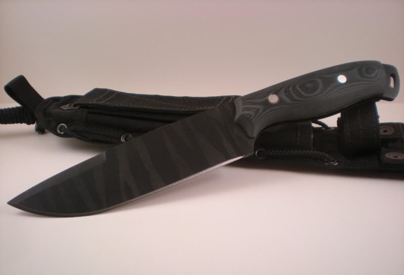 DSCN2038.jpg