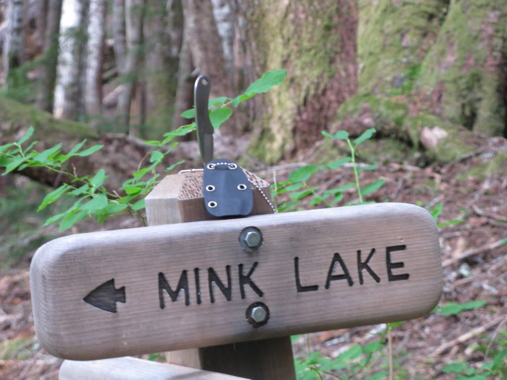 minklake7.jpg