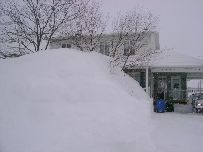 DSC02811.jpg