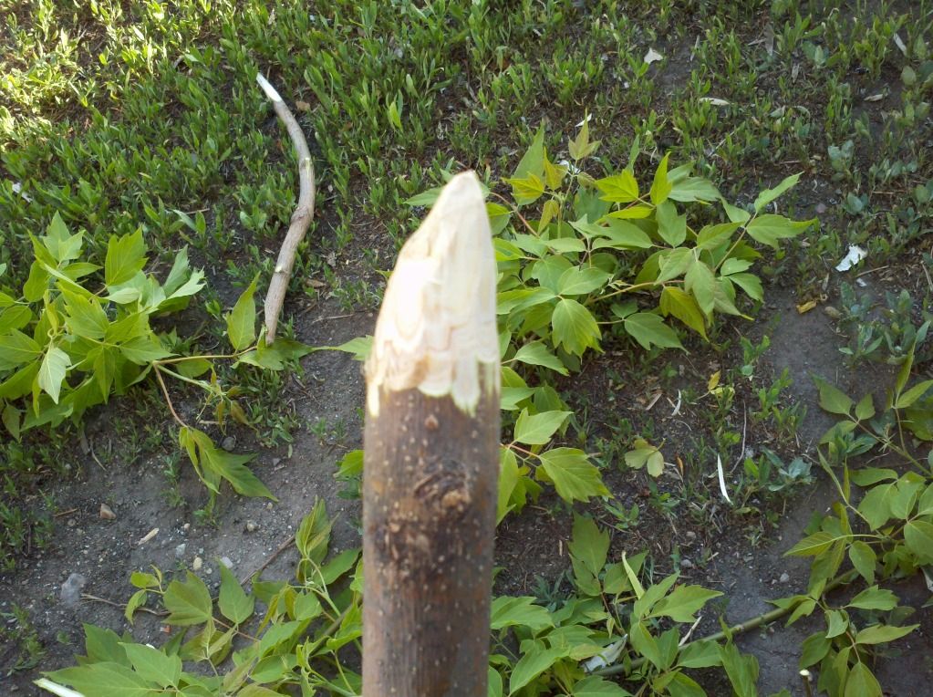 2012-05-13_19-31-09_781.jpg