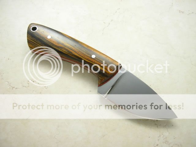 IMGP1271.jpg