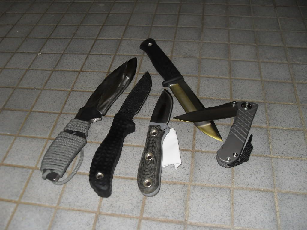 SDC10450.jpg
