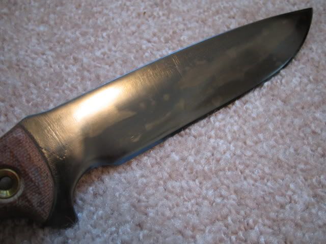 27227e5f.jpg