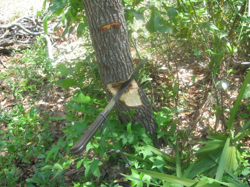 Challenge021.jpg