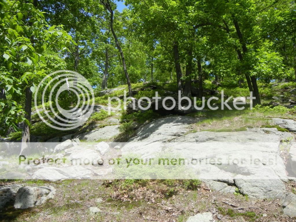 Newpics090.jpg