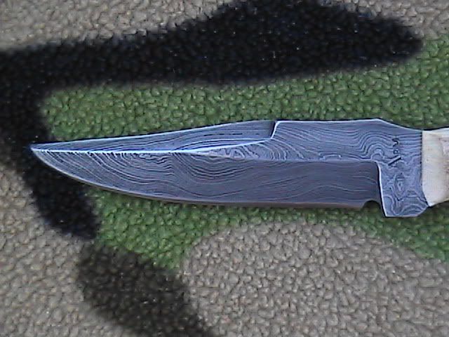 darcifk3.jpg