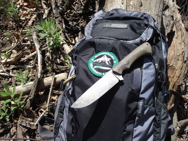 3-15hike008.jpg