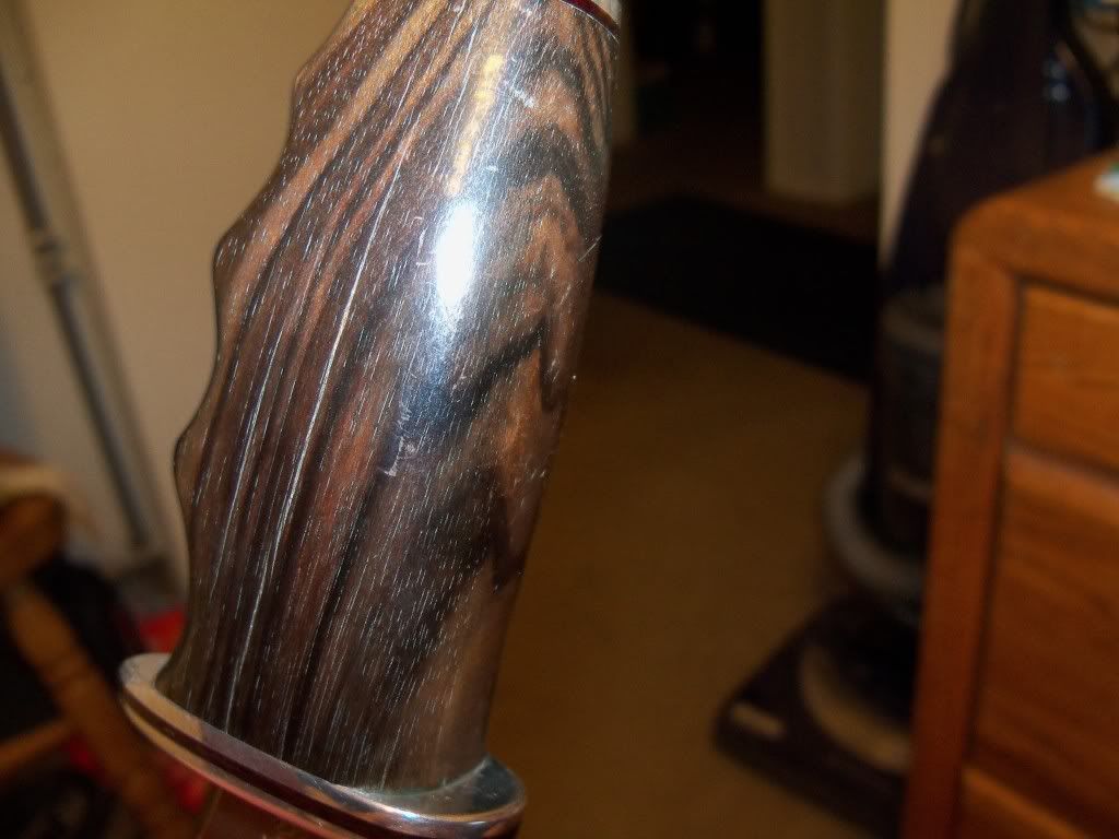 100_1019.jpg