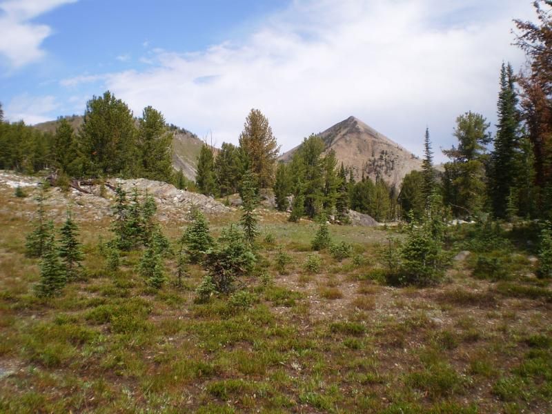 westpintlerpeak_zpsaef2fc2b.jpg