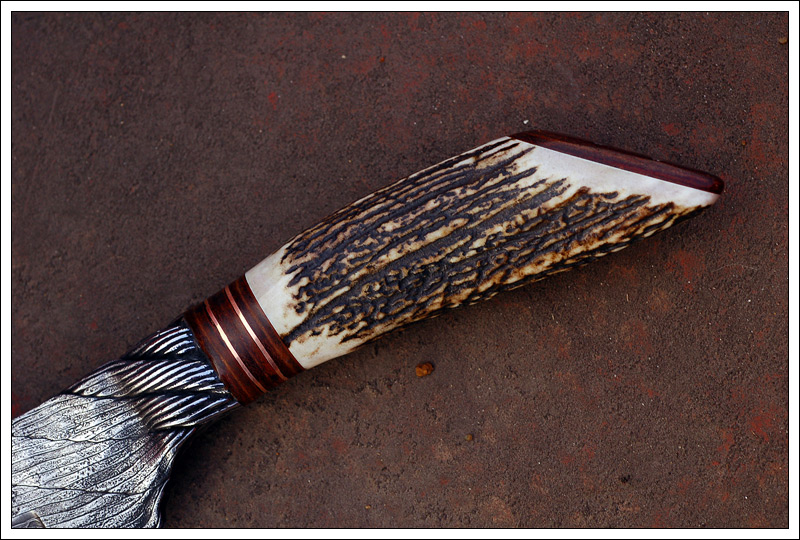 stagcable12.jpg