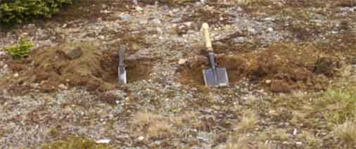 cssf_digging.jpg