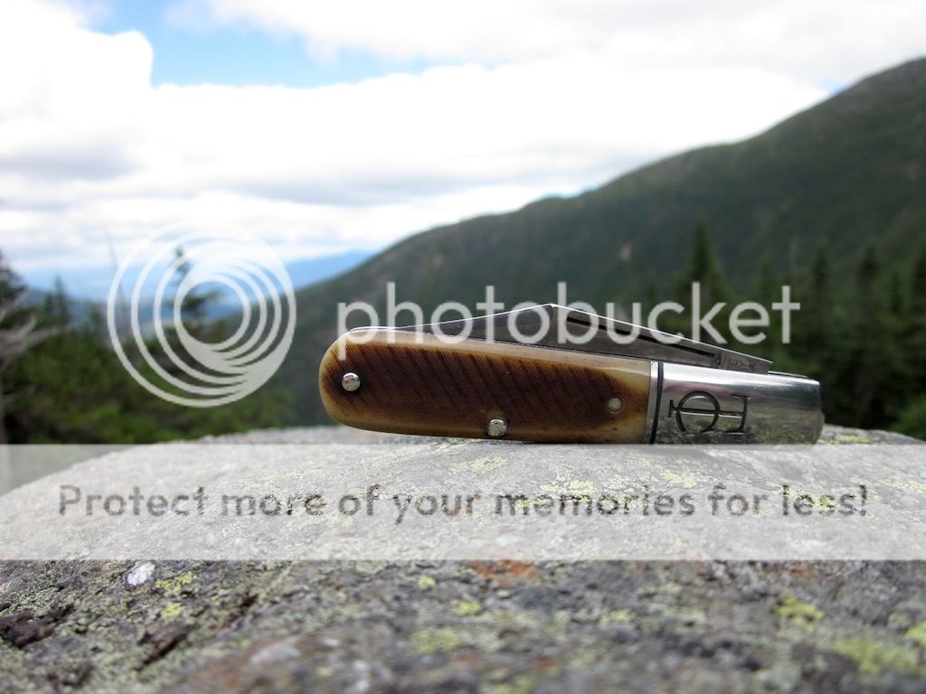 IMG_1391.jpg~original