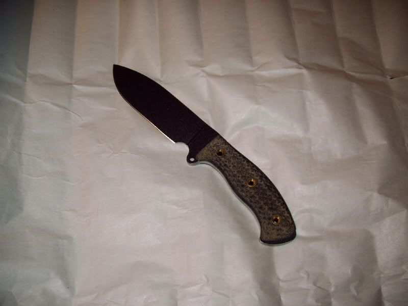 IMAG0003.jpg