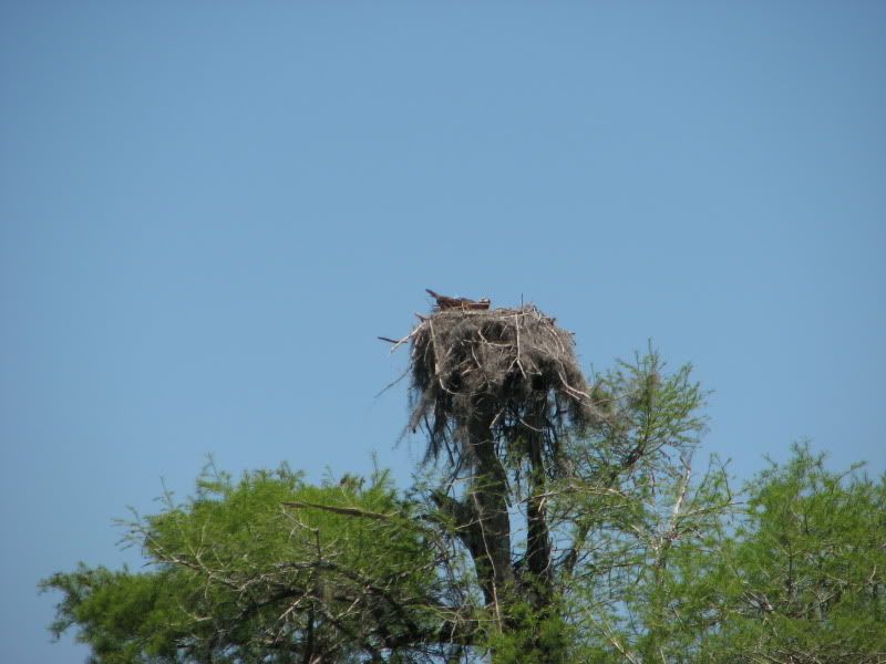 IMG_5064.jpg