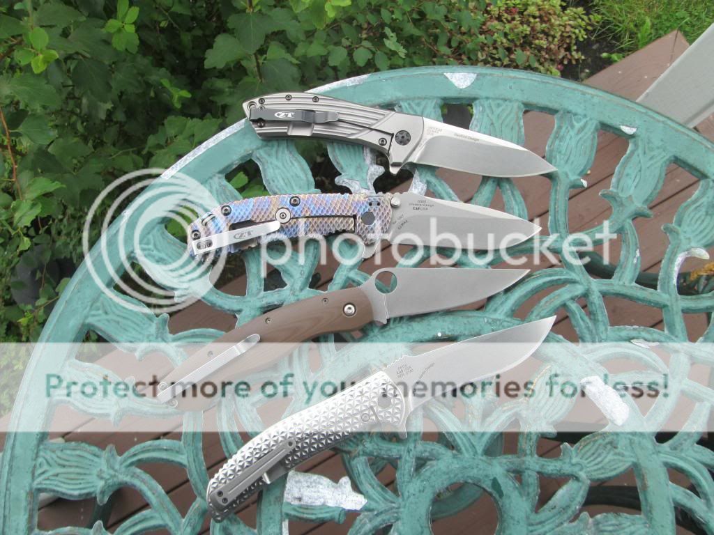 IMG_0952_zps5f00c270.jpg