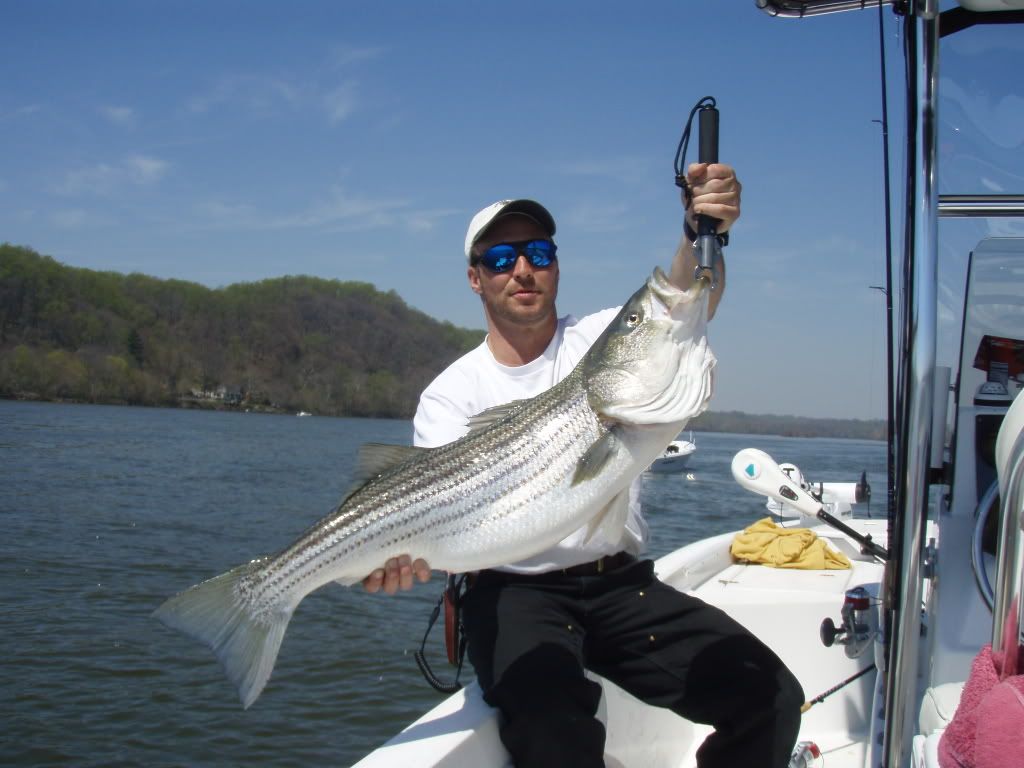 Fish08002.jpg