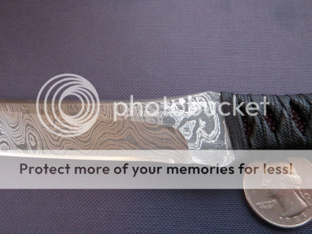 PC260241.jpg