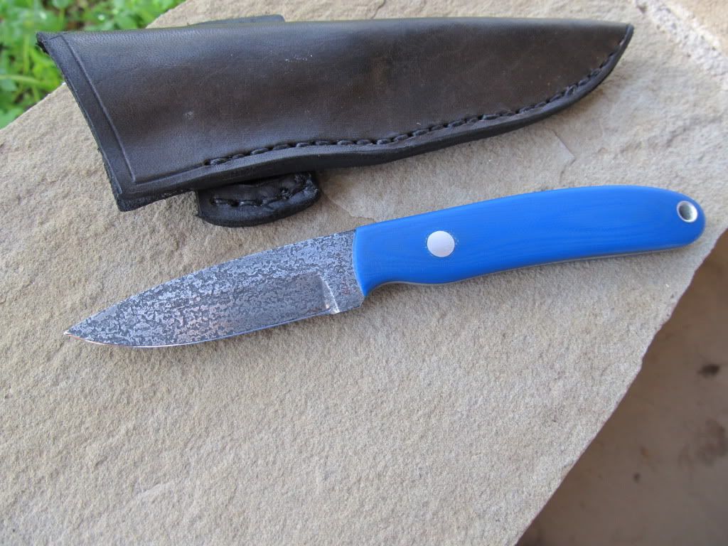 Blueg10edc017.jpg