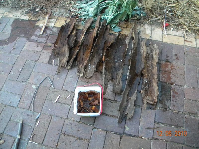 DSCN3143.jpg