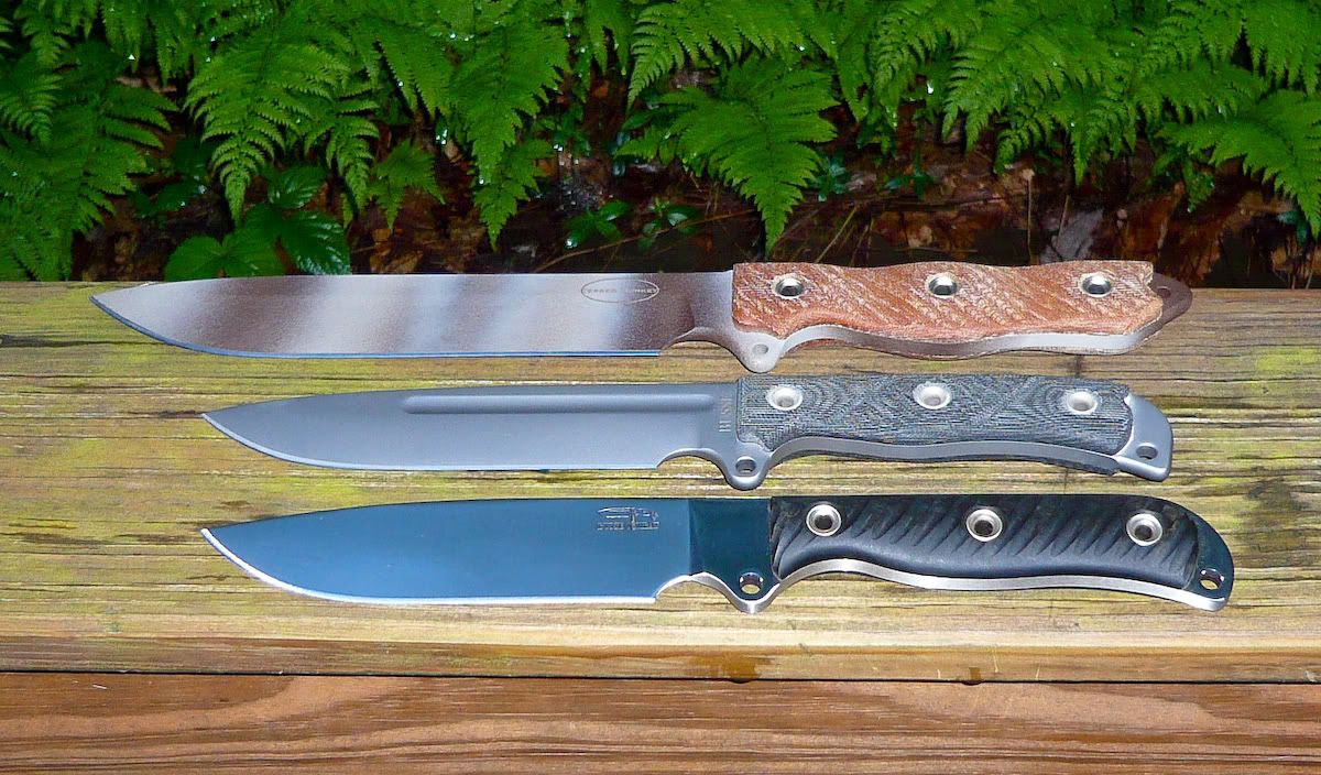 Busse_DSF-BSt-SJ_2.jpg