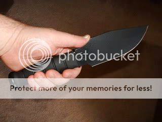 PICT0106.jpg