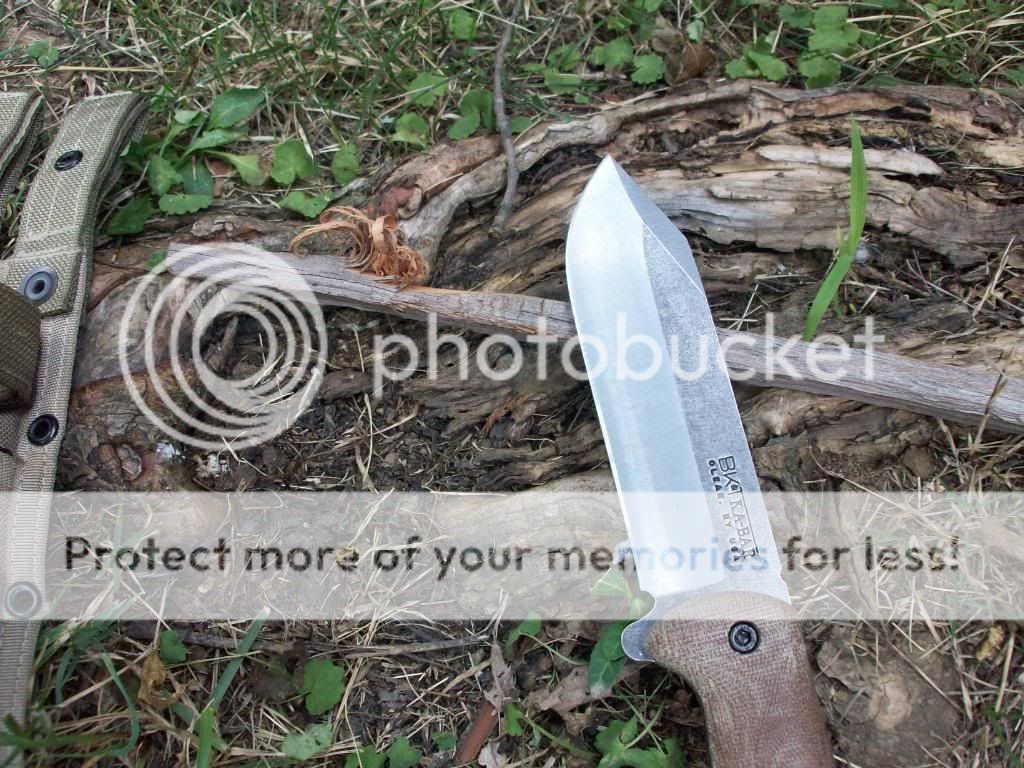 100_2622.jpg