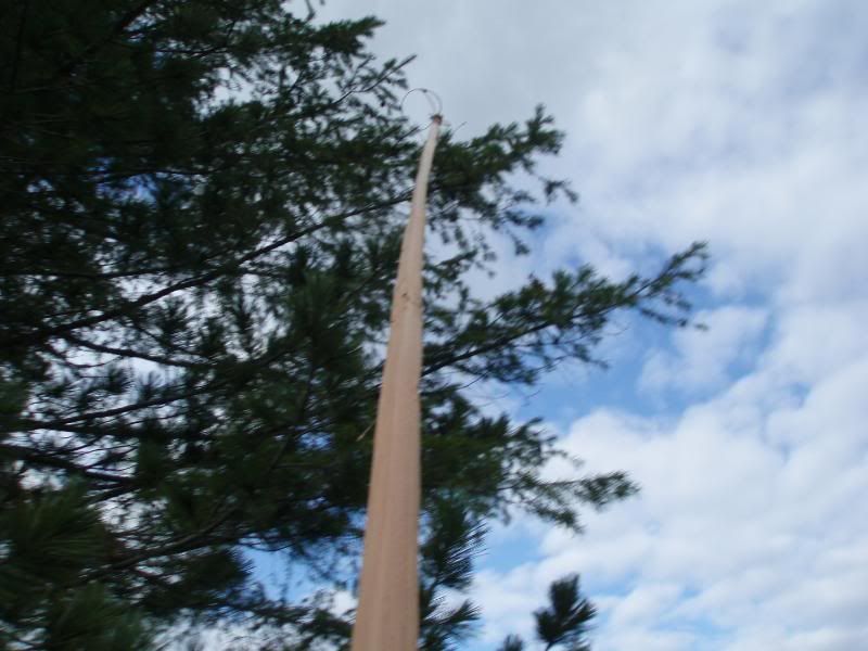 Oct2011021.jpg