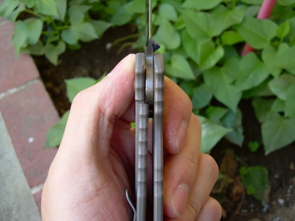 DSCN1679.jpg