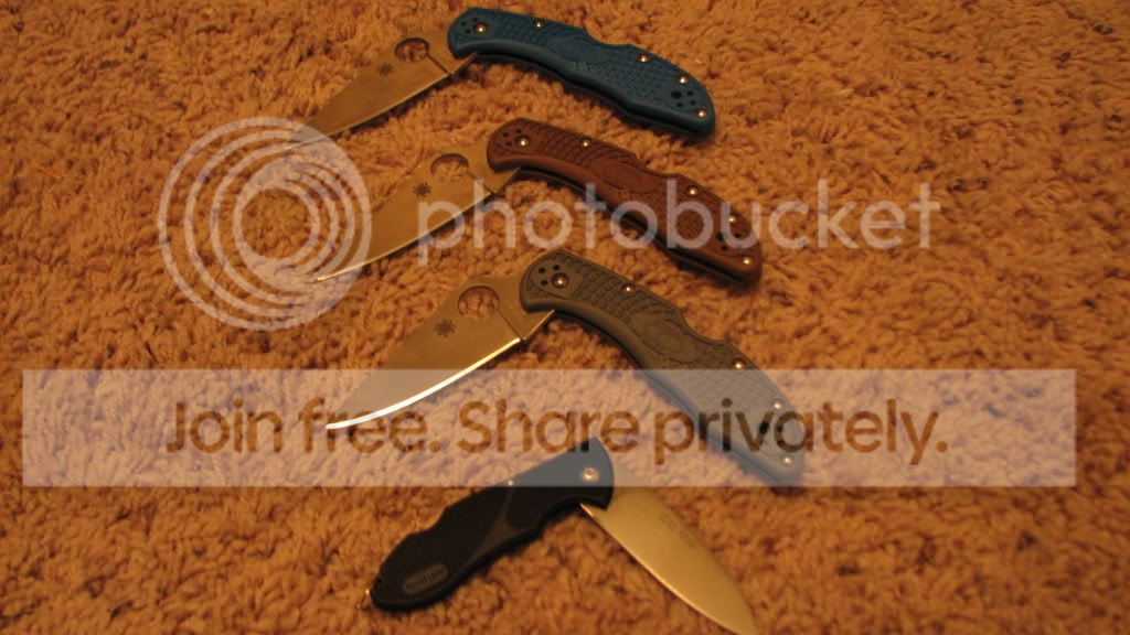 IMG_2437.jpg