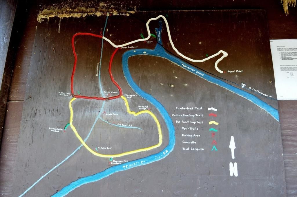 SR-1.jpg