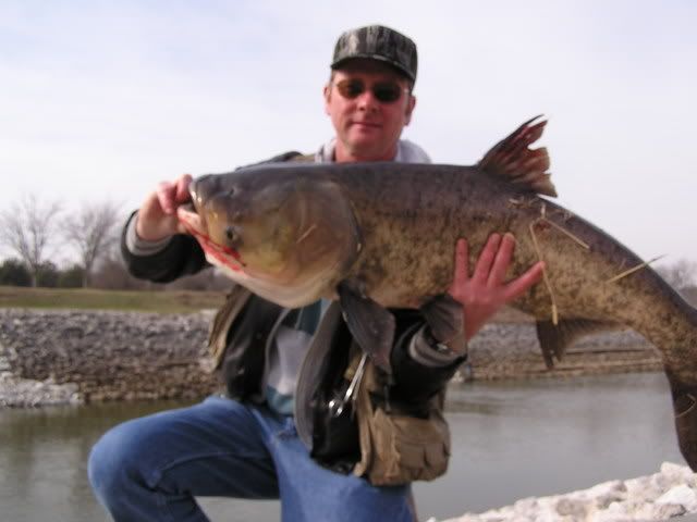 20063-3003.jpg