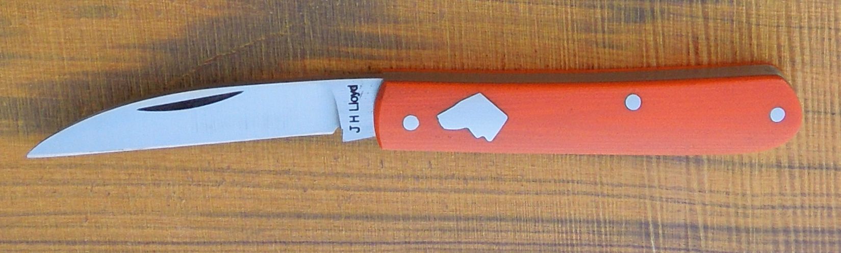 DSCN9069_zps6c09b230.jpg