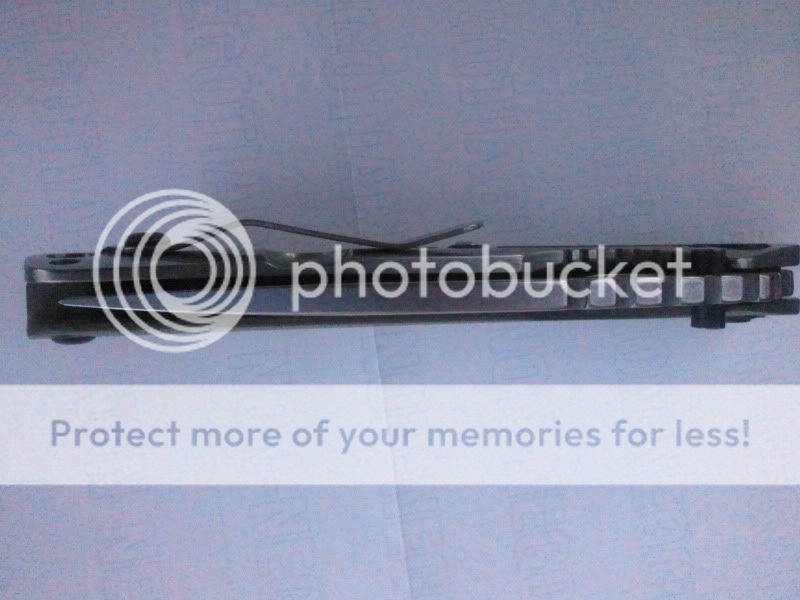 2011-11-01170548.jpg