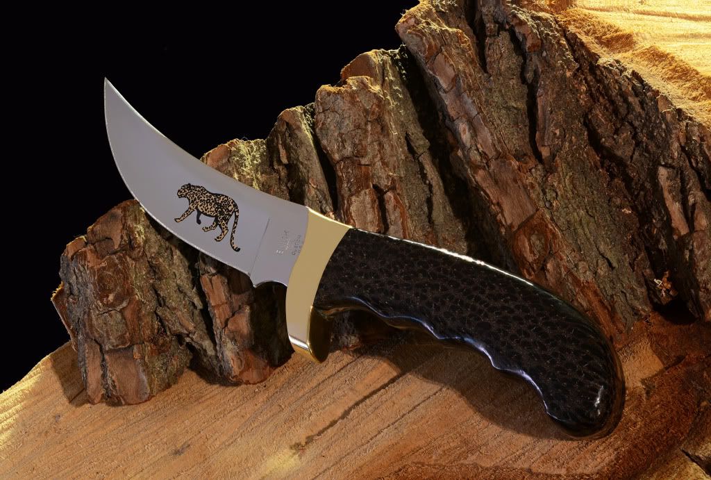JaguarKalinga1.jpg
