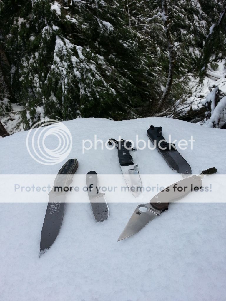 20121213_122531_zps69cce313.jpg