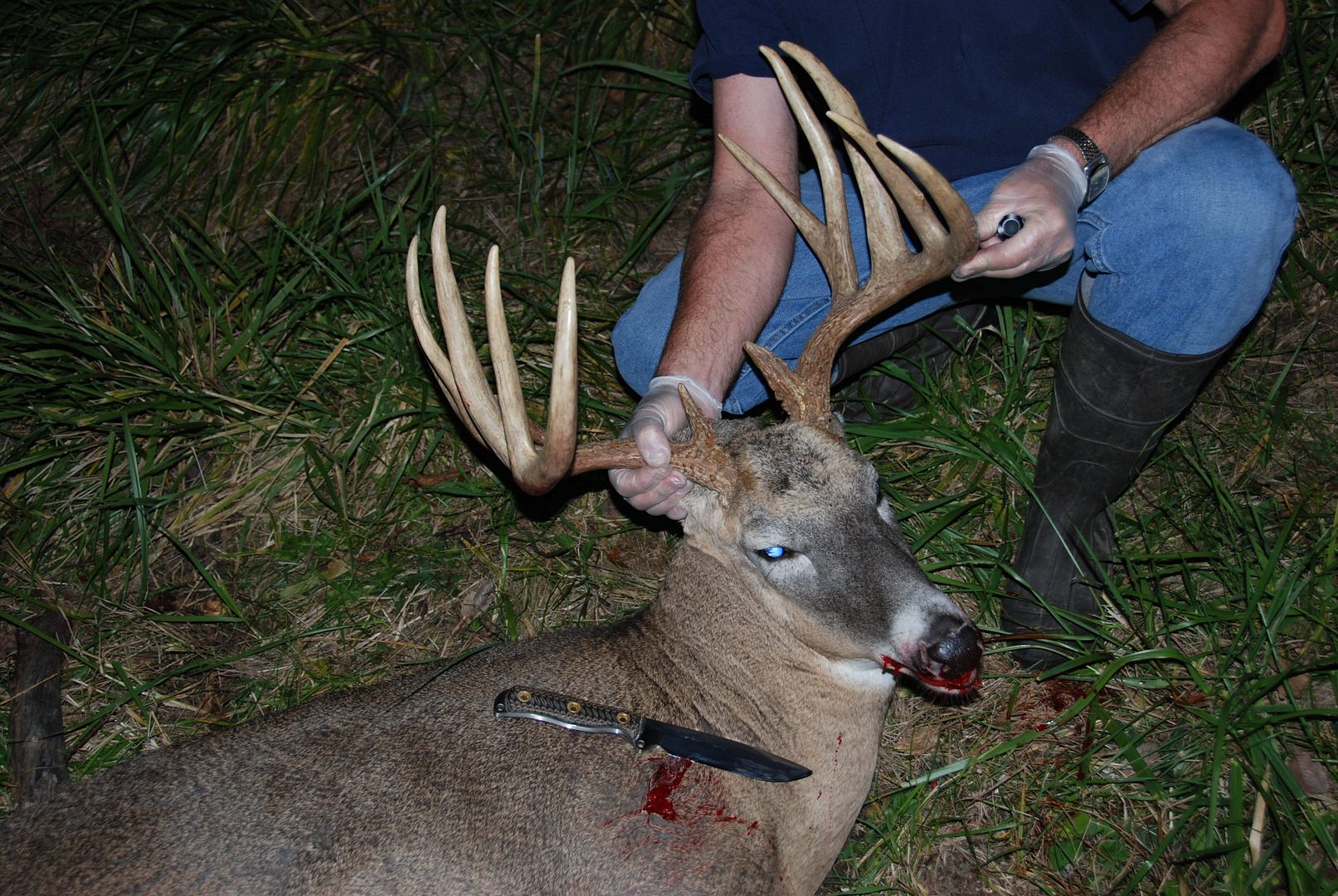 Illinoisdeerseason2009027.jpg