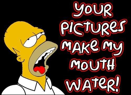 homer.jpg